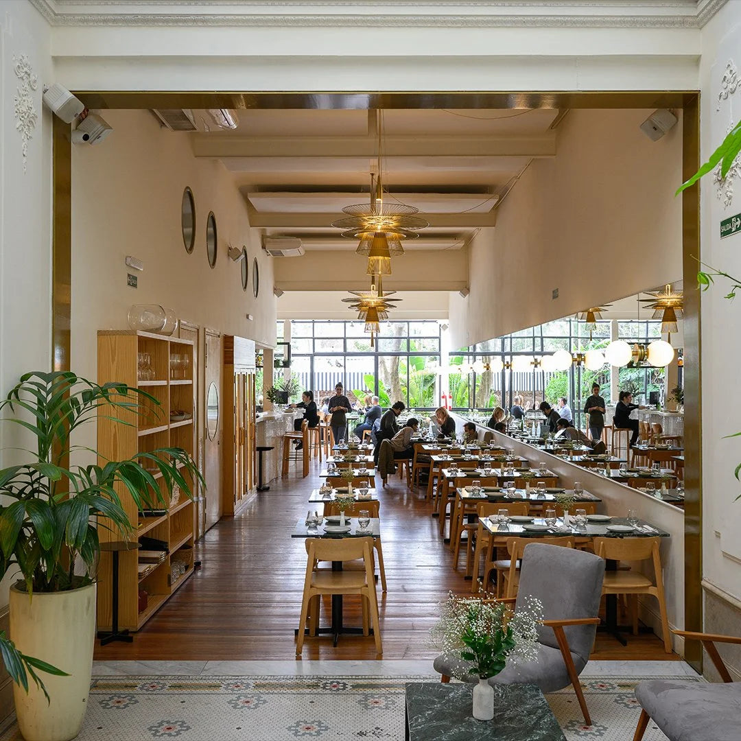 Absortores para restaurantes