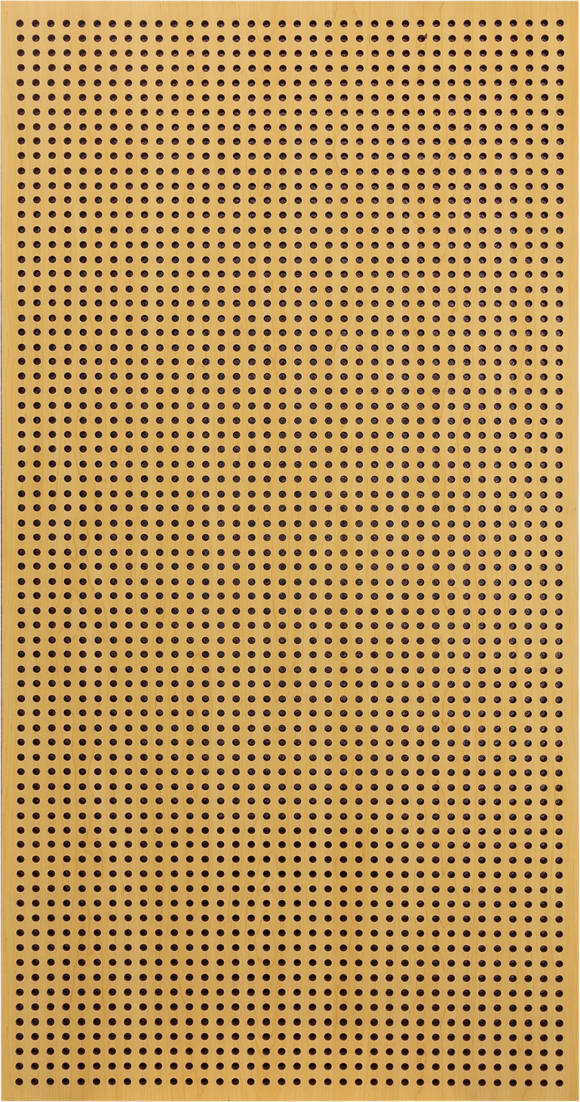 Absortores Akoomi